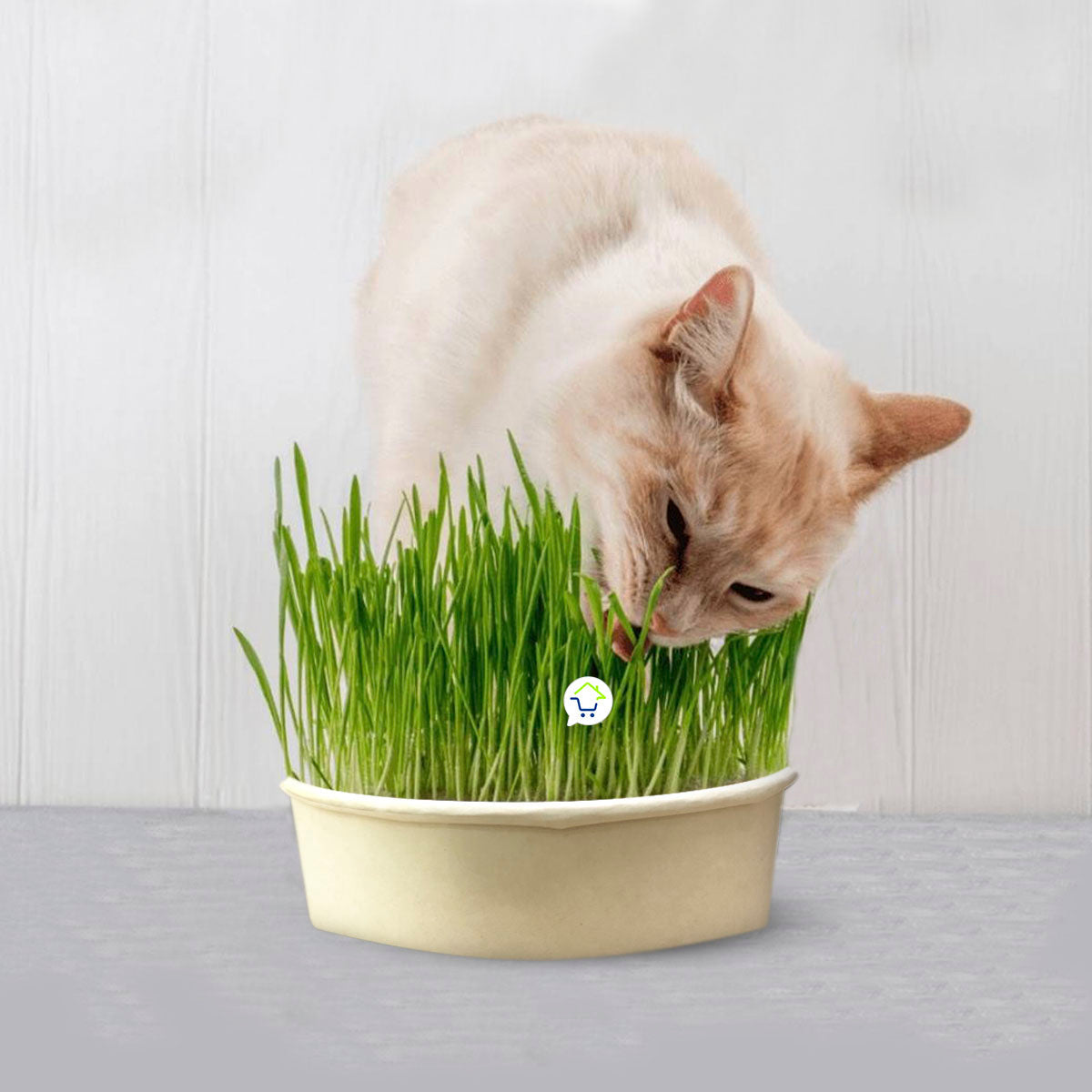 Mastershop Product Image