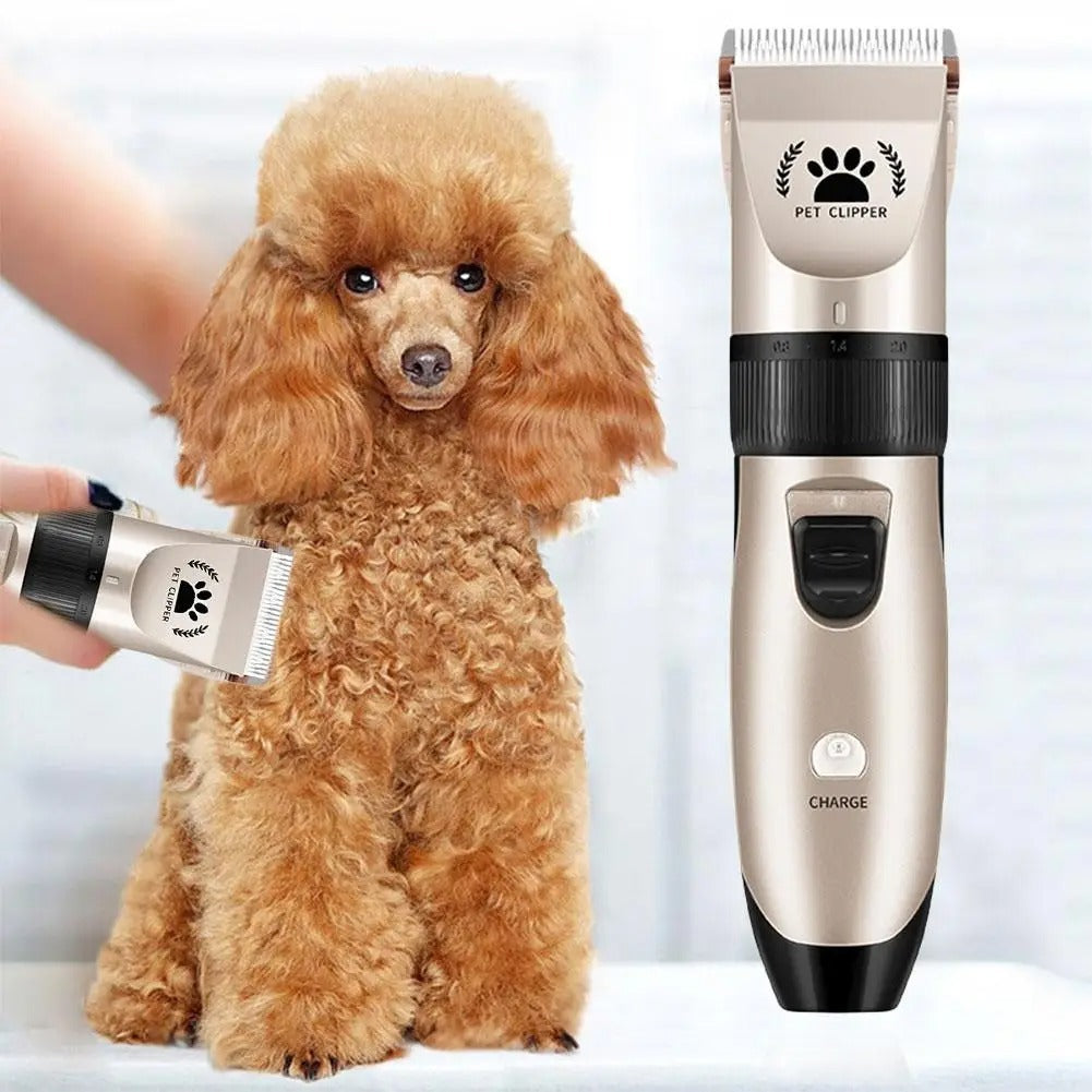 Mastershop Product Image