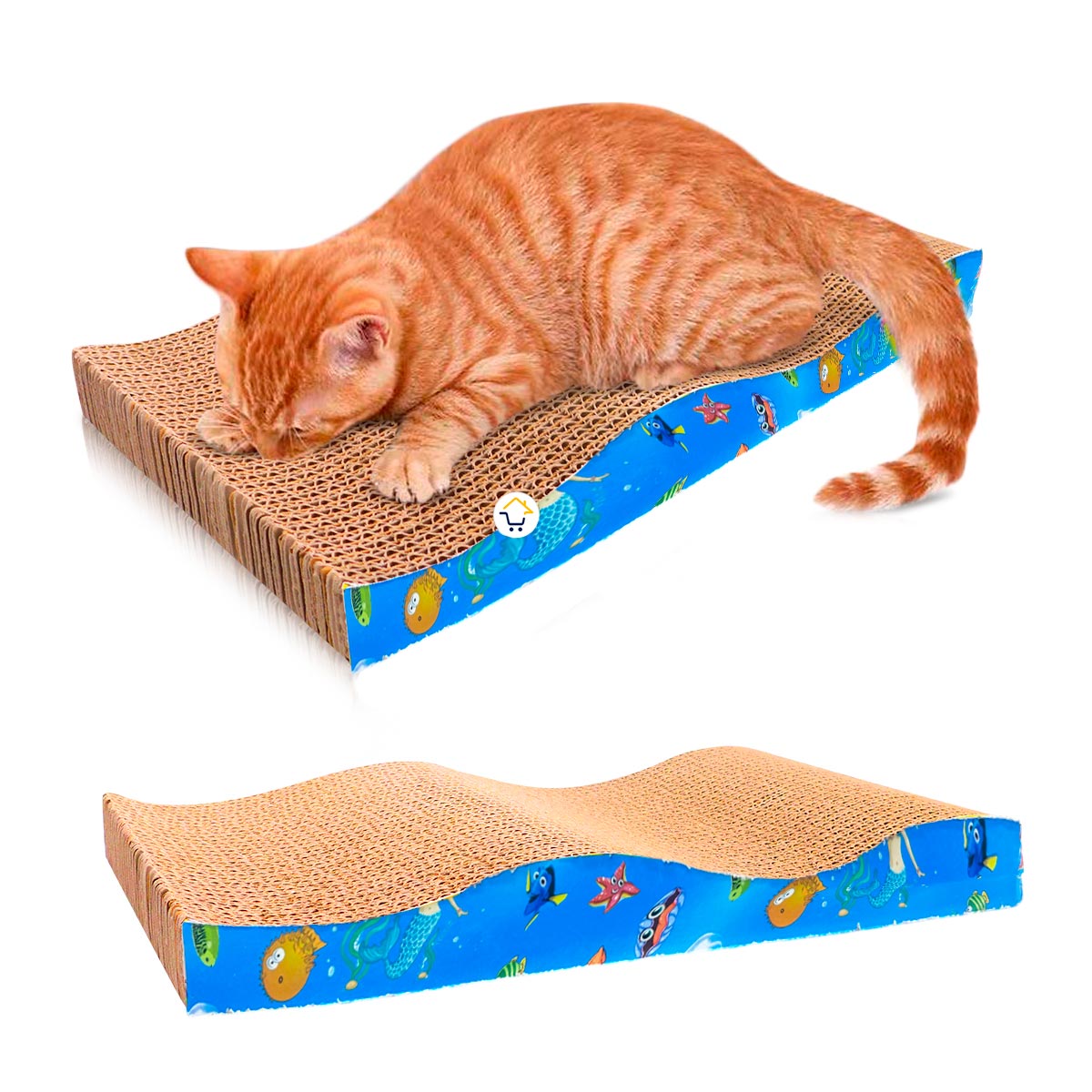 Mastershop Product Image