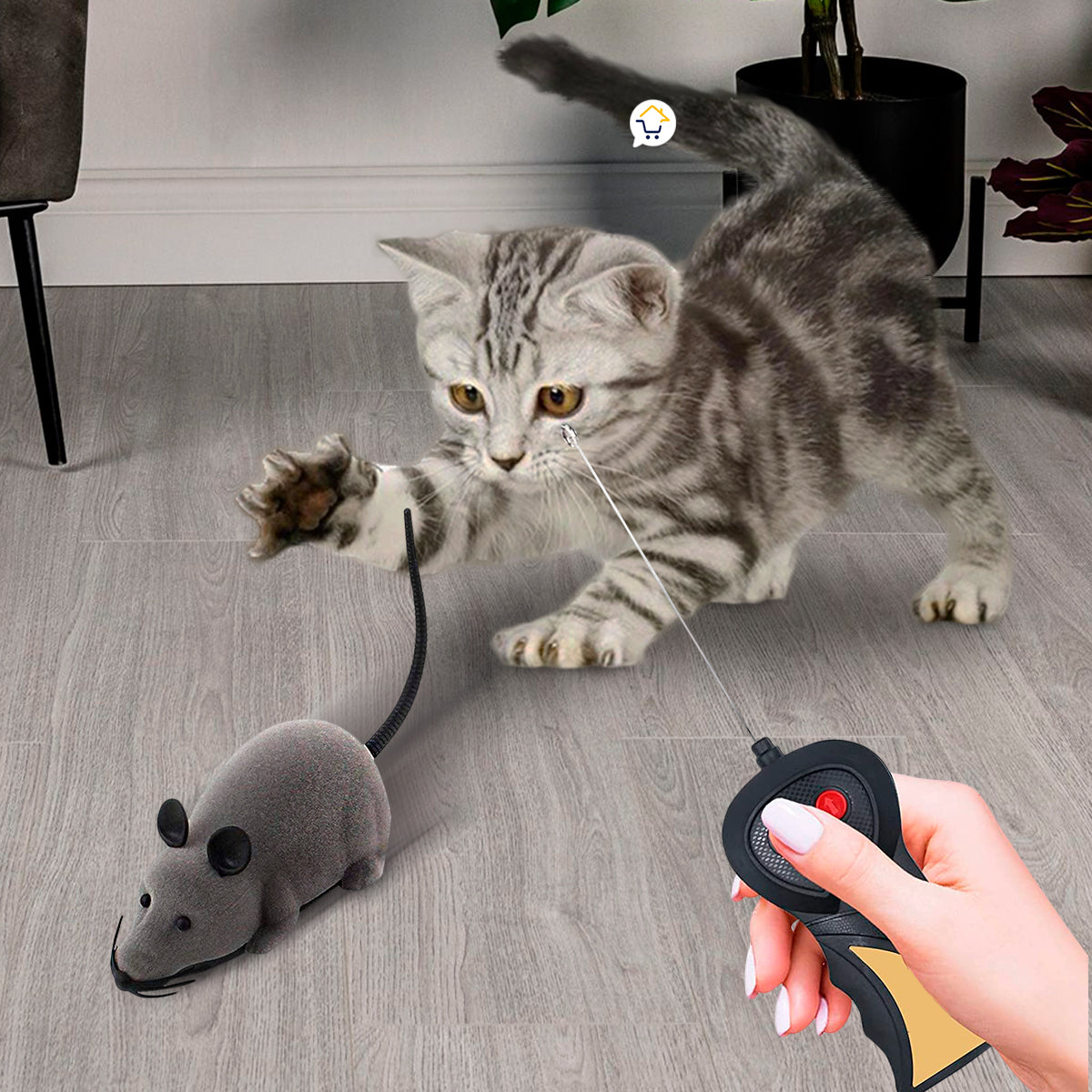 Mastershop Product Image